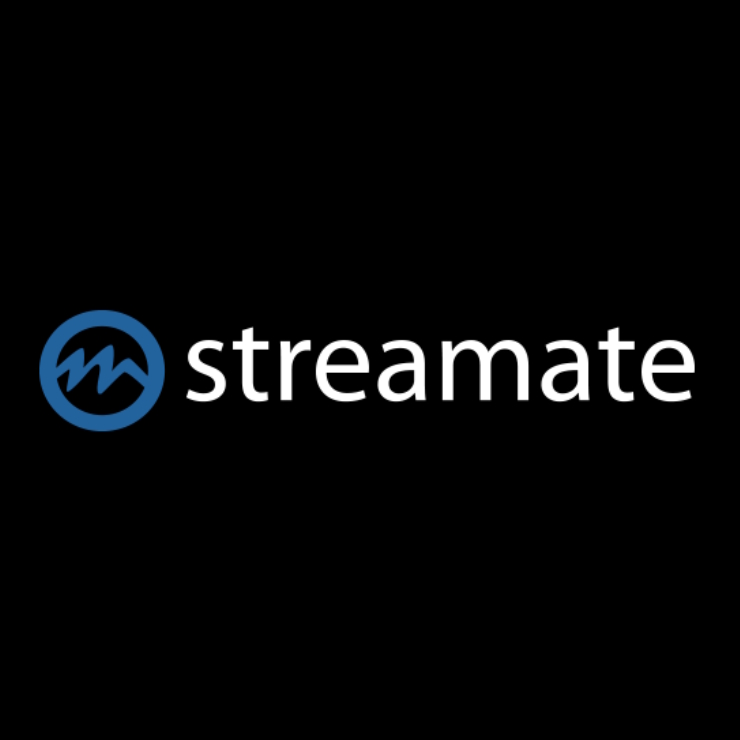 A Review Screenshot of Streamate